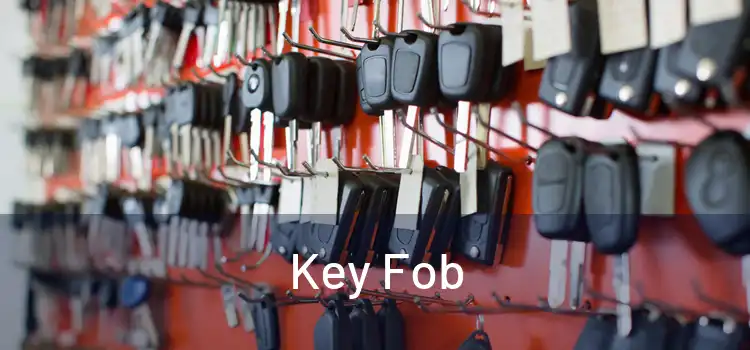  Key Fob 